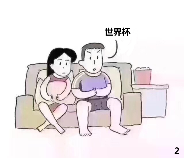 《我的世界杯故事》