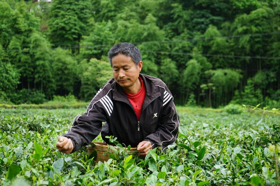 近日，创客云商同西北大学常江校长一行在安康市汉滨区、平利县召开联帮联扶工作推进会，了解各项扶贫工作进展情况。创客云商平台，将优质农产品公益性行销全国，助力脱贫攻坚，践行企业社会责任！ #可丽金# #创客云商#