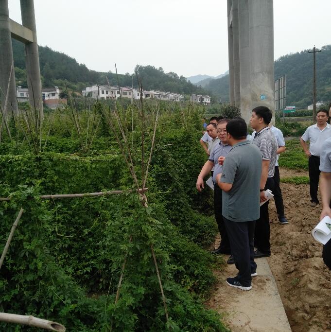 近日，创客云商同西北大学常江校长一行在安康市汉滨区、平利县召开联帮联扶工作推进会，了解各项扶贫工作进展情况。创客云商平台，将优质农产品公益性行销全国，助力脱贫攻坚，践行企业社会责任！ #可丽金# #创客云商#